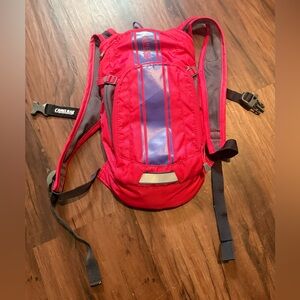 Camelbak Fuchsia Pink and Purple Kids Backpack